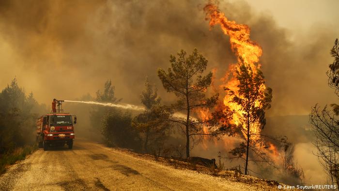 Türkiye’de orman yangınları