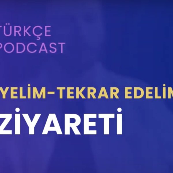 Ev Ziyareti